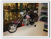 IMG_2455.JPG(61,7 KB)
