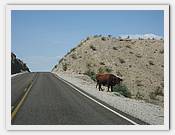 IMG_2493.JPG(49,7 KB)