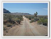 IMG_2510.JPG(47,9 KB)