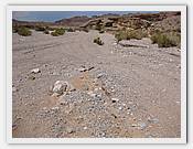 IMG_2523.JPG(77,3 KB)