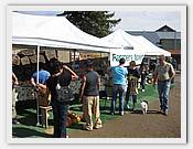 IMG_2666.JPG(66,2 KB)