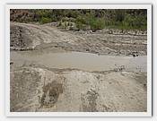 IMG_2683.JPG(60,9 KB)
