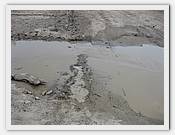 IMG_2686.JPG(48,7 KB)