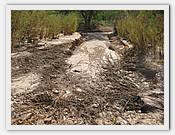 IMG_2709.JPG(96,3 KB)