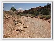 IMG_2779.JPG(76,4 KB)