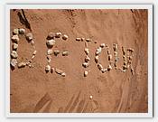 IMG_2789.JPG(63,1 KB)