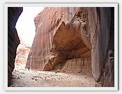 IMG_2806.JPG(57,9 KB)