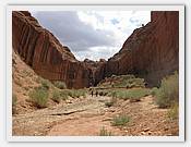 IMG_2808.JPG(58,9 KB)