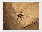 IMG_2824.JPG(53,4 KB)