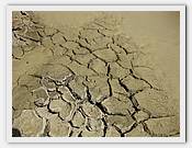 IMG_2962.JPG(69,7 KB)