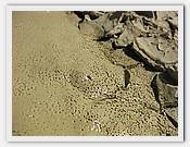 IMG_2964.JPG(72,0 KB)
