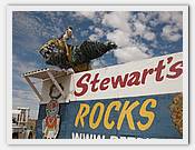 IMG_3029.JPG(62,0 KB)