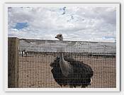 IMG_3037.JPG(52,3 KB)