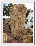 IMG_3067.JPG(44,8 KB)