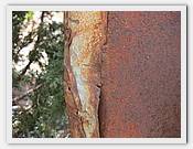 IMG_3074.JPG(65,5 KB)