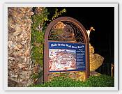 IMG_1661.JPG(75,7 KB)