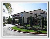 IMG_1717.JPG(57,6 KB)