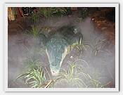 IMG_1733.JPG(50,7 KB)