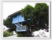 IMG_1898.JPG(69,4 KB)