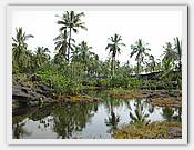 IMG_1918.JPG(75,0 KB)