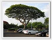 IMG_1942.JPG(77,8 KB)