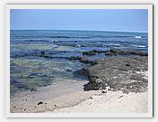 IMG_1956.JPG(59,3 KB)