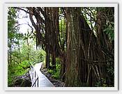 IMG_1992.JPG(87,9 KB)
