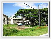 IMG_2020.JPG(81,9 KB)