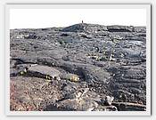 IMG_2036.JPG(86,5 KB)