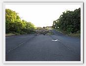 IMG_2063.JPG(46,3 KB)