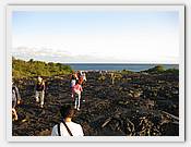 IMG_2073.JPG(57,8 KB)