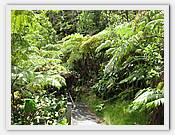 IMG_2101.JPG(116 KB)