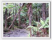 IMG_2108.JPG(104 KB)