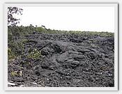IMG_2113.JPG(73,7 KB)