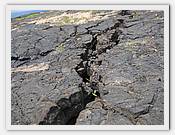 IMG_2121.JPG(86,5 KB)
