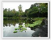 P1050212.JPG(72,6 KB)