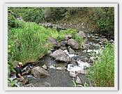 IMG_2214.JPG(94,4 KB)