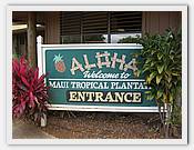 IMG_2226.JPG(72,6 KB)