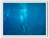 DSC08548.JPG(35,0 KB)