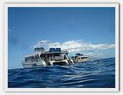 DSC08571.JPG(41,7 KB)