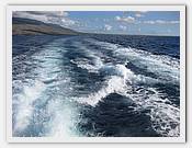 IMG_2269.JPG(65,2 KB)