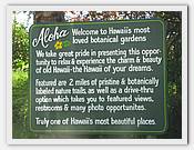 IMG_2350.JPG(73,1 KB)