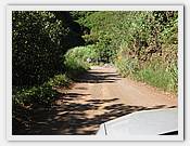 IMG_2367.JPG(85,9 KB)